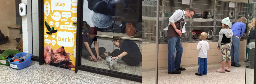 Two images are side-by-side. The left image is of people petting a dog while sitting on the floor. The right image is of people looking at pets in their cages.