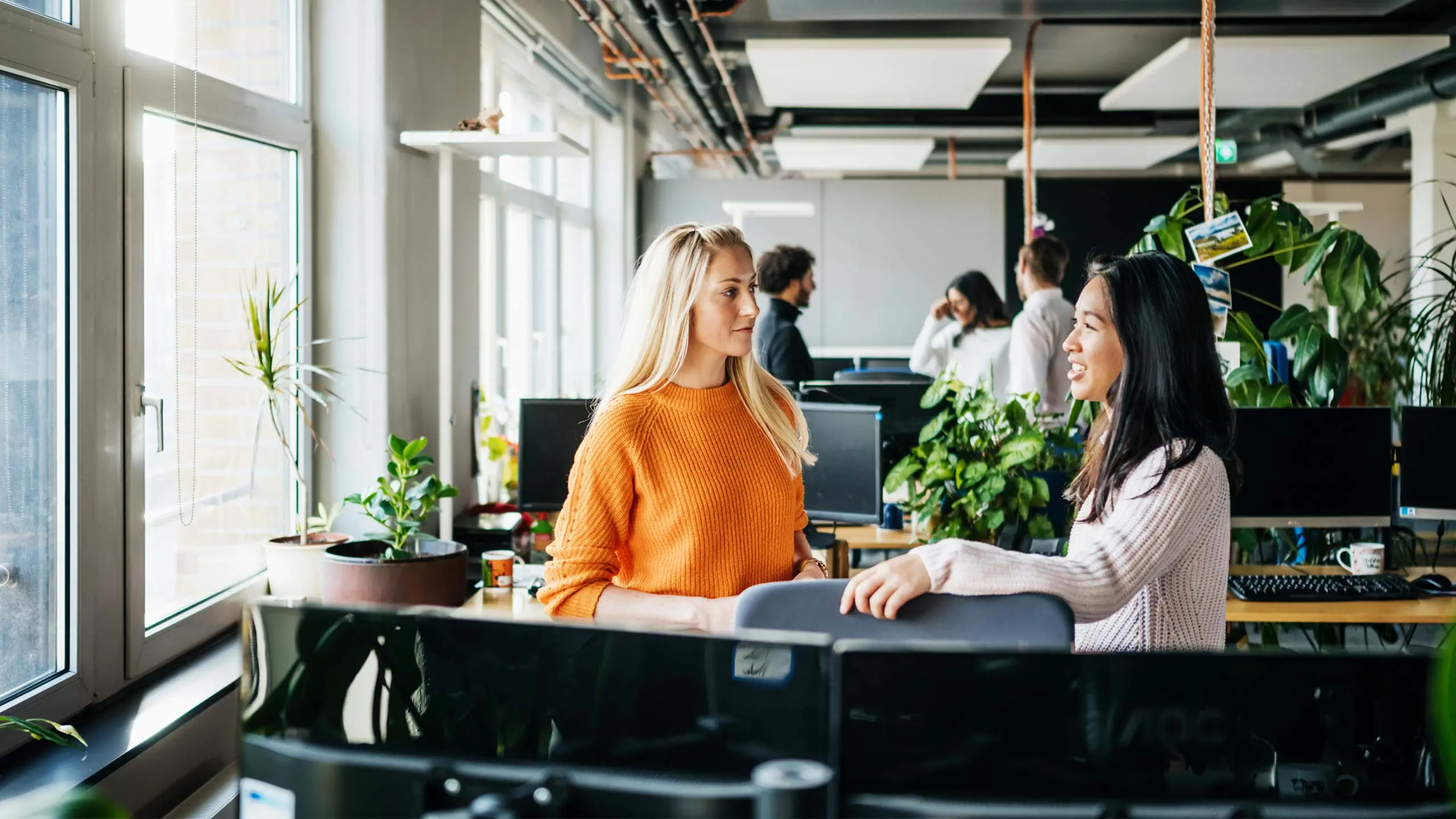 Two business colleagues standing at their desks and talking about IT architecture